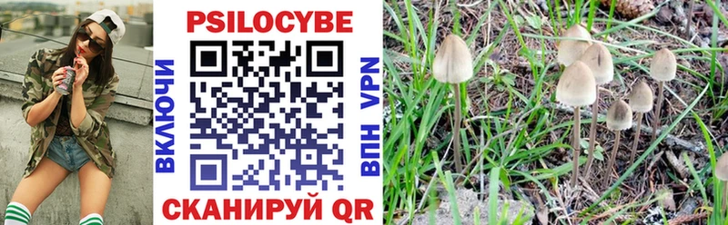 Галлюциногенные грибы Psilocybine cubensis  Ковров 